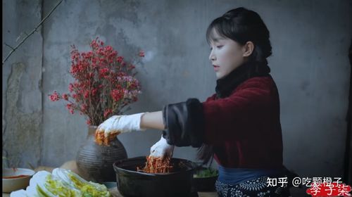 李子柒泡菜味